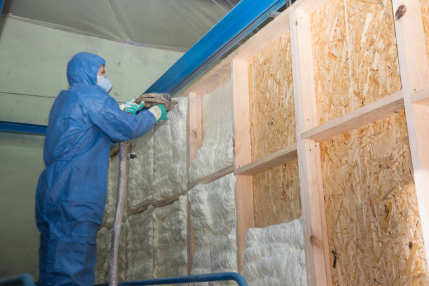 Garage Insulation Installation in Ridgeland, SC