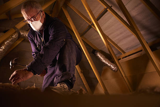Best Residential Insulation Services  in Ridgeland, SC